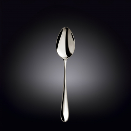 Table Spoon 2 pcs on Blister Pack WL‑999102/2B, Color: Silver