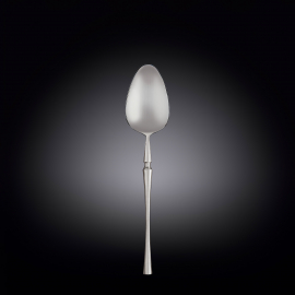 Dessert Spoon on Blister Pack WL‑999553/1B, Color: Silver Matt