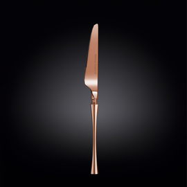 Нож столовый 22,5 см на блистере wl‑999.502.001/1b Wilmax (photo 1)