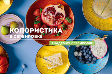 Академия сервировки WILMAX. Колористика