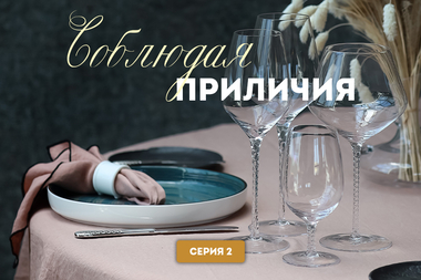 Соблюдая приличия. 2 серия. Судьба салфетки