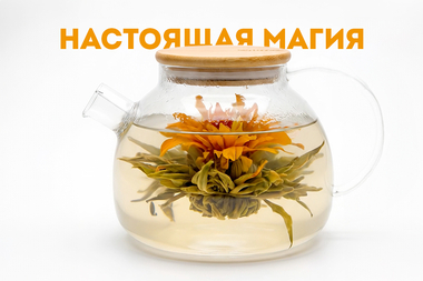 Настоящая магия в чайнике!