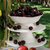 тортовница 25x9 см wl‑996128/a Wilmax (photo 4)