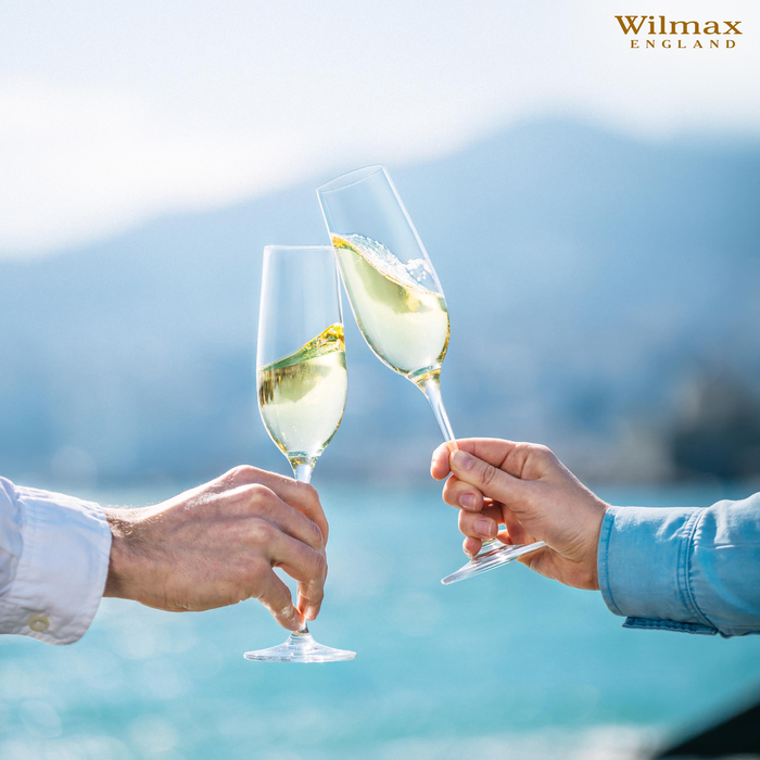 Набор из 2-х бокалов для шампанского 260 мл wl‑888048/2c Wilmax (photo 4)