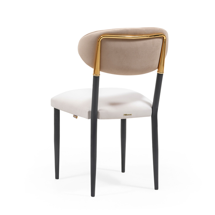 стул обеденный  wf‑101753071 Wilmax (photo 5)