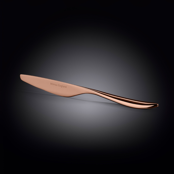 Нож столовый 24 см на блистере wl‑999.672.001/1b Wilmax (photo 2)