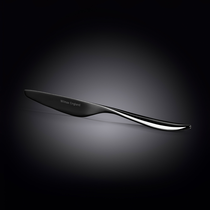 Нож столовый 24 см на блистере wl‑999.674.001/1b Wilmax (photo 2)