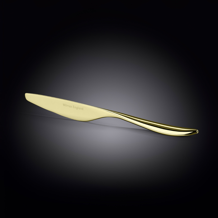 Нож столовый 24 см на блистере wl‑999.675.001/1b Wilmax (photo 2)