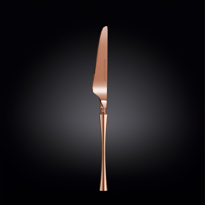 Нож столовый 22,5 см на блистере wl‑999.502.001/1b Wilmax (photo 1)